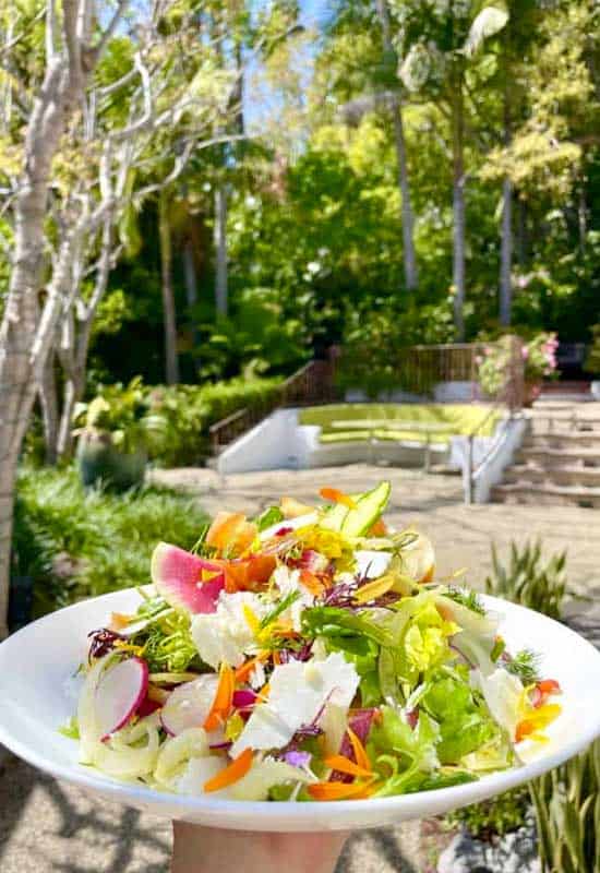 Spring Green Salad from Cavatina