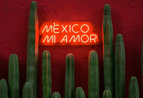 Mexico Mi Amor