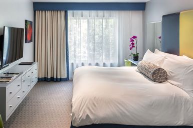 King Guest Room